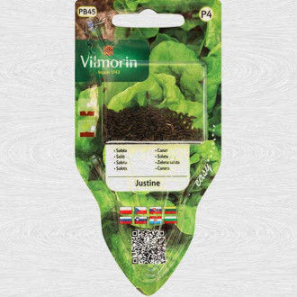 Salata verde Justine imagine 9