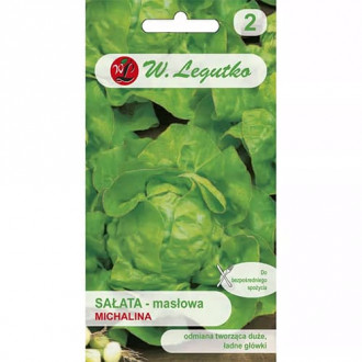 Salată verde Michalina imagine 3