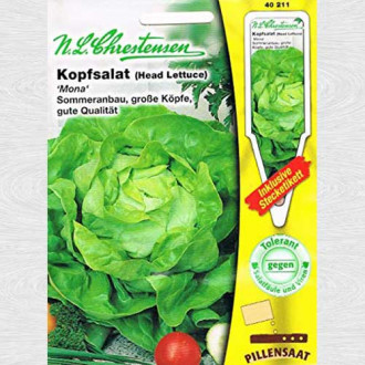 Salată verde Mona imagine 9