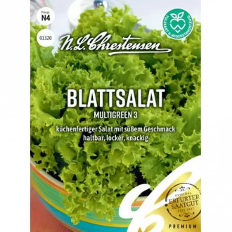 Salată verde Multigreen 3 imagine 15