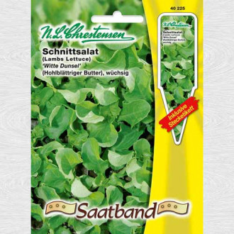 Salată White Dunsel imagine 11