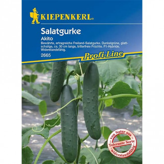 Салатна краставица Akito, F1 изображение 13
