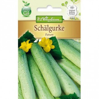 Краставица Fatum F1 изображение 4