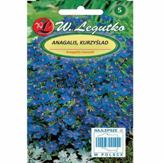 Scânteiuță (Anagaliis) albastră imagine 1