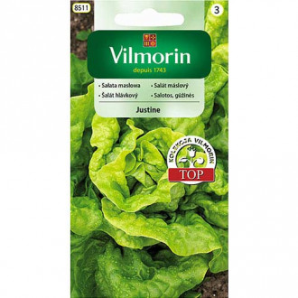 Seler liściowy Jemny Vilmorin interface.image 10