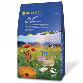 Семена за морава Wildflower Meadow изображение 17