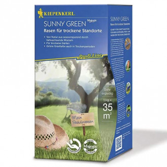 Semințe gazon pentru zone secetoase Sunny Green imagine 6