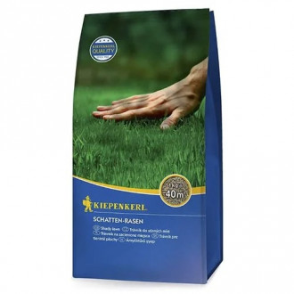 Semințe gazon pentru zone umbrite imagine 18