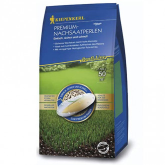 Semințe gazon reînsămânțare Premium imagine 3