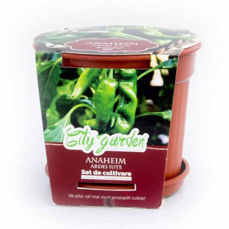Set de cultivare - Ardei iute Anaheim Chilli imagine 6