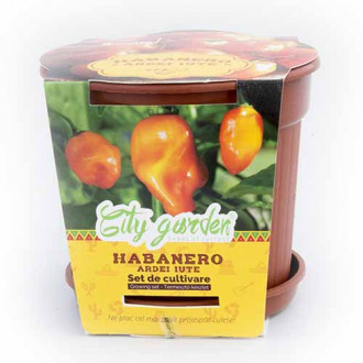 Set de cultivare - Ardei iute Mexican Habanero Orange imagine 14