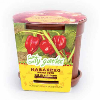 Set de cultivare - Ardei iute Mexican Habanero Red imagine 15