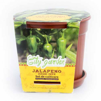 Set de cultivare - Ardei iute Mexican Jalapeno imagine 2