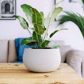 Set de mască și ghiveci Lina Ball, alb, 32 cm imagine 18