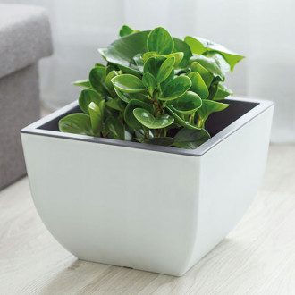 Ghiveci pătrat Muna bicolor, alb + gri, 29.5 cm imagine 12