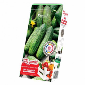 Set răsadniță medie cu soiuri românești Castraveți Crisan imagine 9