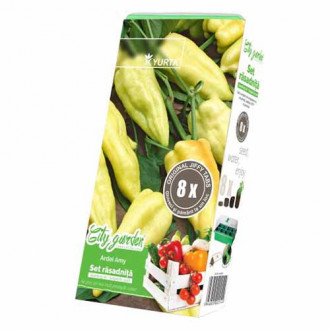 Set răsadniță medie și Ardei Amy imagine 7