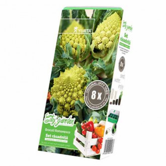 Set răsadniță medie și Broccoli Romanesco imagine 1