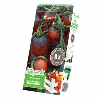 Set răsadniță medie și Roșie neagră imagine 3