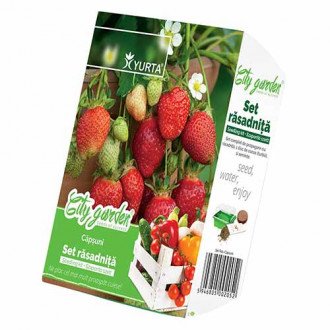 Set răsadniță mică și Căpșuni imagine 9