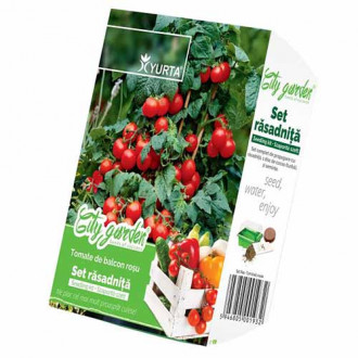 Set răsadniță mică și Roșie de balcon - Roșie imagine 4