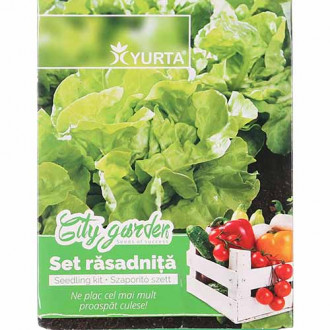 Set răsadniță mică și Salată de căpățână imagine 7