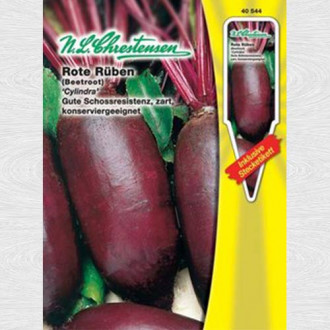 Sfeclă roșie Cylindra (Chrestensen) imagine 18