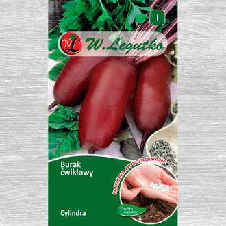 Sfeclă Cylindra imagine 11