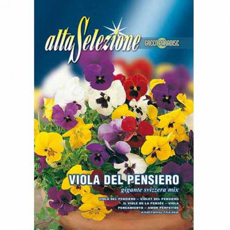 Швейцарска многоцветна теменужка, смес от цветове изображение 2