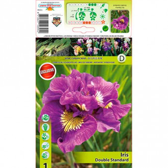 Сибирски ирис Double Standard изображение 12