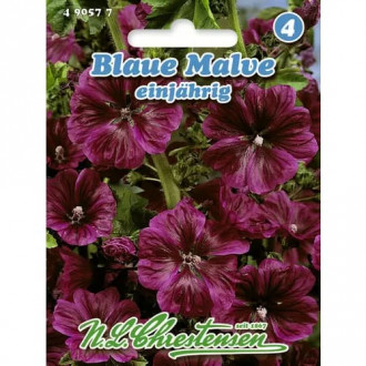 Градинска ружа синя изображение 5