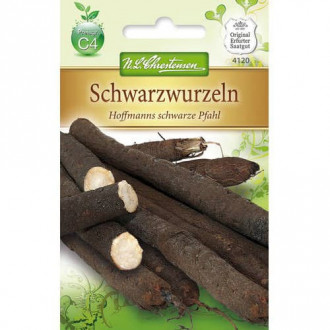 Skorzonera Hoffmanns schwarze Pfahl interface.image 1