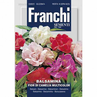 Слабонога Балсамина, смес от цветове изображение 5