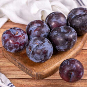 Слива Black Star, С2 изображение 11