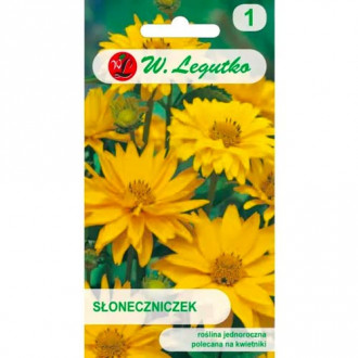 Heliopsis słonecznikowy Summer Sun interface.image 9
