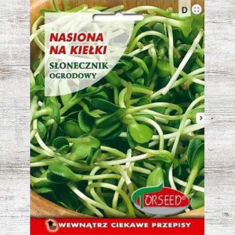 Słonecznik ogrodowy, nasiona na kiełki interface.image 1
