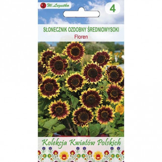 Słonecznik ozdobny Floren interface.image 10
