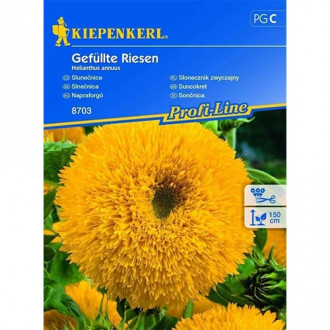 Slonecznik ozdobny Gefullte Riesen interface.image 12