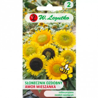 Slonecznik ozdobny Amor, mix kolorow interface.image 17