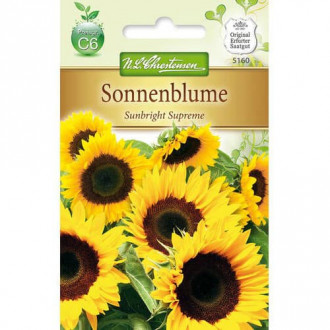 Slonecznik ozdobny Sunbright Supreme interface.image 15