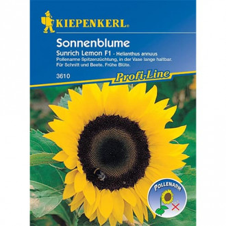 Slonecznik ozdobny Sunrich Lemon F1 interface.image 11