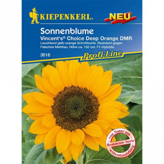 Slonecznik ozdobny Vincent's® Deep Orange DMR interface.image 12