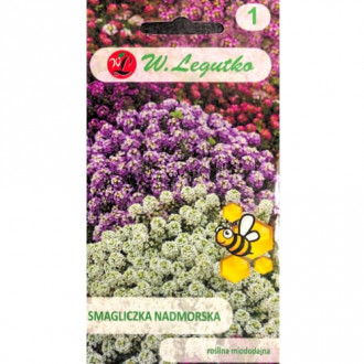 Smagliczka (Alyssum), mix kolorow interface.image 5