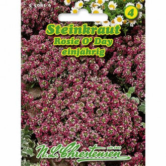 Smagliczka (Alyssum) Rosie O'Day interface.image 8