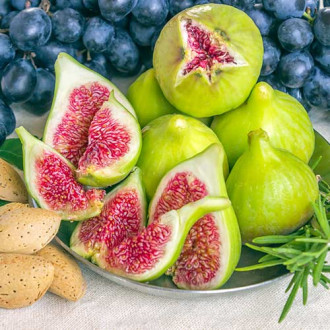 Smochin Royal White imagine 9