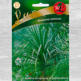 Dracena smocza interface.image 1