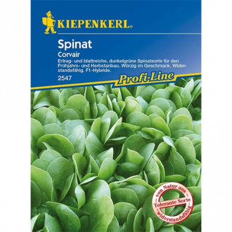 Spanac Corvair F1 imagine 15