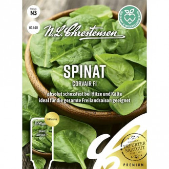 Spanac Corvair F1 imagine 4