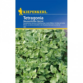 Спанак Tetragonia изображение 8