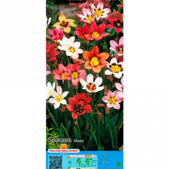 Sparaksis, mix kolorów interface.image 7